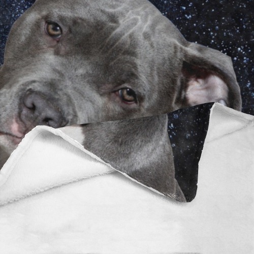 Dog Pitbull Terrier and Moon Ultra-Soft Micro Fleece Blanket 30''x40''