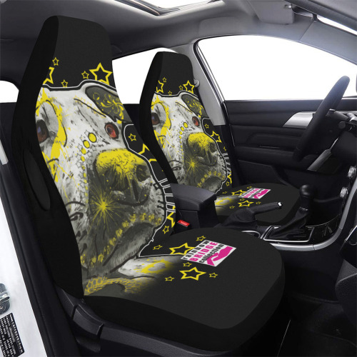 Motte 1 Car Seat Cover Airbag Compatible (Set of 2)