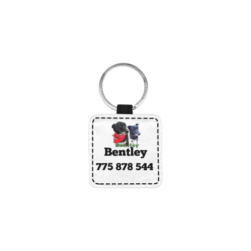 Dog Bentley Square Pet ID Tag